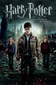 Harry Potter and the Deathly Hallows: Part 2 [2011] Movie BluRay [Dual Audio] [Hindi Eng] 480p 720p 1080p