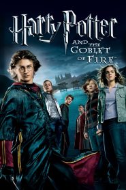 Harry Potter and the Goblet of Fire [2005] Movie BluRay [Dual Audio] [Hindi Eng] 480p 720p 1080p