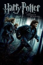 Harry Potter and the Deathly Hallows: Part 1 [2010] Movie BluRay [Dual Audio] [Hindi Eng] 480p 720p 1080p