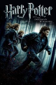 Harry Potter and the Deathly Hallows: Part 1 [2010] Movie BluRay [Dual Audio] [Hindi Eng] 480p 720p 1080p
