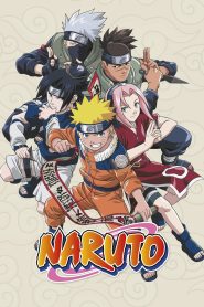 Naruto HINDI DUBBED