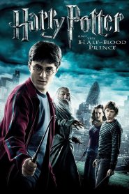 Harry Potter and the Half-Blood Prince [2009] Movie BluRay [Dual Audio] [Hindi Eng] 480p 720p 1080p