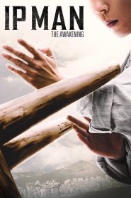 Ip Man: The Awakening [2021] Movie BluRay [Dual Audio] [Hindi-Eng] 480p 720p 1080p