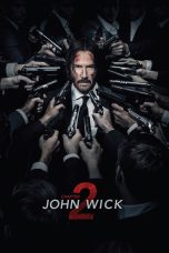 John Wick: Chapter 2 (2017) Movie BluRay [Dual Audio] [Hindi-Eng] 480p 720p 1080p 2160p