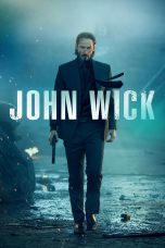 John Wick (2014) Movie BluRay [Dual Audio] [Hindi-Eng] 480p 720p 1080p 2160p
