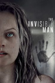 The Invisible Man [2020] Movie BluRay [Dual Audio] [Hindi Eng] 480p 720p 1080p