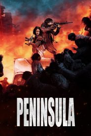 Peninsula [Train to Busan 2] [2020] Movie BluRay Dual Audio Hindi Eng 480p 720p 1080p 2160p