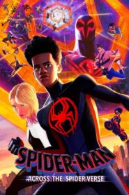 Spider Man Across the Spider Verse [2023] Movie BluRay [Dual Audio] [Hindi-Eng] 480p 720p 1080p 2160p