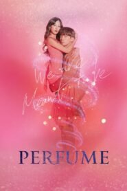 Perfume Complete Season