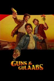 Guns & Gulaabs (Season 1) NF Web Series Hindi WebRip All Episodes 480p 720p 1080p