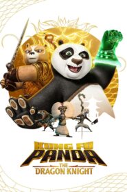 Kung Fu Panda The Dragon Knight (Season 1-3) NF Web Series WebRip Dual Audio Hindi Eng All Episodes 480p 720p 1080p