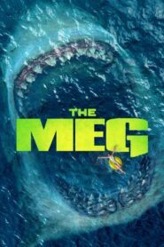 The Meg [2018] BluRay Movie [Dual Audio] [Hindi or English]