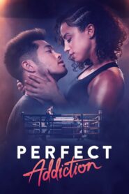 Perfect Addiction [2023] Movie BluRay [Dual Audio] [Hindi Eng] 480p 720p 1080p