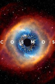 Cosmos [Season 1] [2020] NatGeo Web Series WebRip [Dual Audio] [Hindi-Eng] All Episodes 480p 720p 1080p