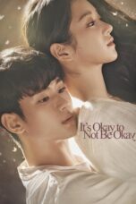It’s Okay to Not Be Okay [Season 1] [2020] Web Series Hindi Dubbed NF WebRip All Episodes 480p 720p 1080p