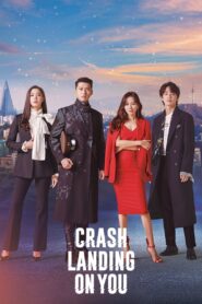 Crash Landing on You [Season 1] [2019] Web Series Hindi Dubbed NF WebRip All Episodes 480p 720p 1080p