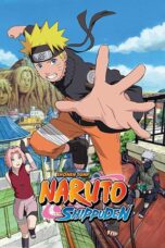 Naruto Shippūden [Season 1-21 + Movies] 1080p [Dual Audio] [Eng-Jap]