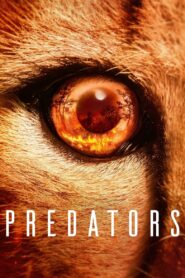 Predators [Season 1] [2022] NF Web Series WebRip [Dual Audio] [Hindi-Eng] All Episodes 480p 720p 1080p