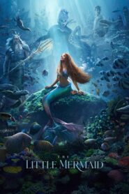 The Little Mermaid [2023] Movie BluRay [Dual Audio] [Hindi-Eng] 480p 720p 1080p 2160p