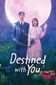 Destined with You [Season 1] [2023] NF Web Series WebRip [Dual Audio] [Hindi-Korean] All Episodes 480p 720p 1080p