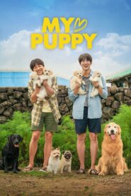My♡Puppy [2023] WebRip Hollywood Movie ORG. [Dual Audio] [Hindi or Korean] x264 ESubs