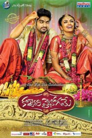 Kalyana Vaibhogame [2016] UNCUT WebRip South Movie ORG. [Dual Audio] [Hindi or Telugu] x264 ESubs