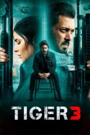 Tiger 3 [2023] Hindi WebRip x264 AAC ESubs Full [Bollywood Movie] 480p 720p 1080p