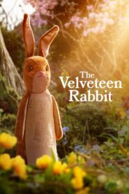 The Velveteen Rabbit [2023] 10bit HEVC WebRip ORG. [Dual Audio] [Hindi-English] ESubs