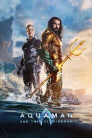 Aquaman and the Lost Kingdom [2023] WebRip [Dual Audio] [Hindi Or English] 480p 720p 1080p