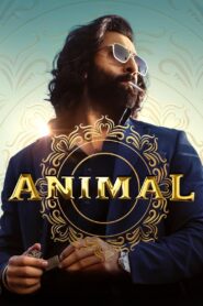 Animal (2023) Hindi WebRip Full [Bollywood Movie] 480p 720p 1080p