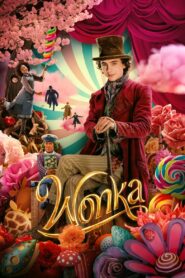  Wonka [2023] HDTS Hollywood Movie [Dual Audio] [Hindi (HQ Dub) or English] x264