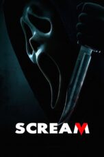 Scream [2022] Movie BluRay [Dual Audio] [Hindi Eng] 480p 720p 1080p 2160p