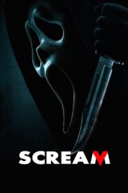 Scream [2022] Movie BluRay [Dual Audio] [Hindi Eng] 480p 720p 1080p 2160p