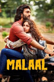 Malaal (2019) Hindi WebRip Full [Bollywood Movie] 480p 720p 1080p