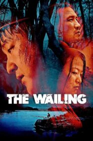 The Wailing [2016] Movie BluRay [Dual Audio] [Hindi korean] 480p 720p 1080p