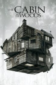 The Cabin in the Woods [2011] Movie BluRay [Dual Audio] [Hindi-Eng] 480p 720p 1080p 2160p