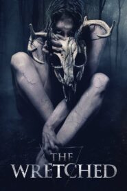 The Wretched [2019] Movie BluRay [Dual Audio] [Hindi Eng] 480p 720p 1080p