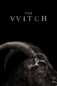 The Witch [2015] Movie BluRay [Dual Audio] [Hindi Eng] 480p 720p 1080p