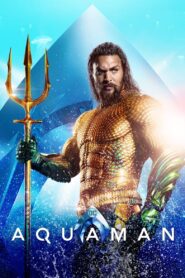 Aquaman [2018] Movie BluRay [Dual Audio] [Hindi Eng] 480p 720p 1080p