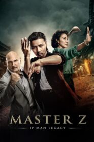 Master Z: Ip Man Legacy [2018] Movie BluRay [Dual Audio] [Hindi Chinese] 480p 720p 1080p