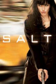 Salt [2010] Movie BluRay [Dual Audio] [Hindi Eng] 480p 720p 1080p