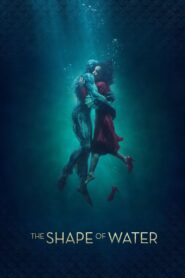 The Shape of Water [2017] Movie BluRay [Dual Audio] [Hindi Eng] 480p 720p 1080p 2160p
