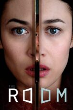 The Room [2019] Movie BluRay [Dual Audio] [Hindi Eng] 480p 720p 1080p