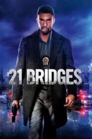 21 Bridges [2019] Movie BluRay [Dual Audio] [Hindi Eng] 480p 720p 1080p