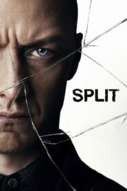 Split [2016] Movie BluRay [Dual Audio] [Hindi Eng] 480p 720p 1080p
