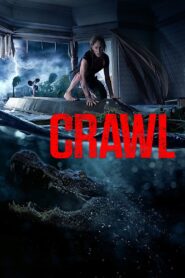 Crawl [2019] Movie BluRay [Dual Audio] [Hindi Eng] 480p 720p 1080p