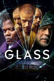 Glass [2019] Movie BluRay [Dual Audio] [Hindi Eng] 480p 720p 1080p