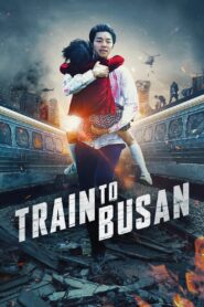 Train to Busan [2016] Movie BluRay [Dual Audio] [Hindi Eng] 480p 720p 1080p
