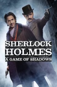 Sherlock Holmes: A Game of Shadows [2011] Movie BluRay [Dual Audio] [Hindi Eng] 480p 720p 1080p
