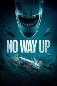 No Way Up [2024] Movie WebRip [Dual Audio] [Hindi Eng] 480p 720p 1080p